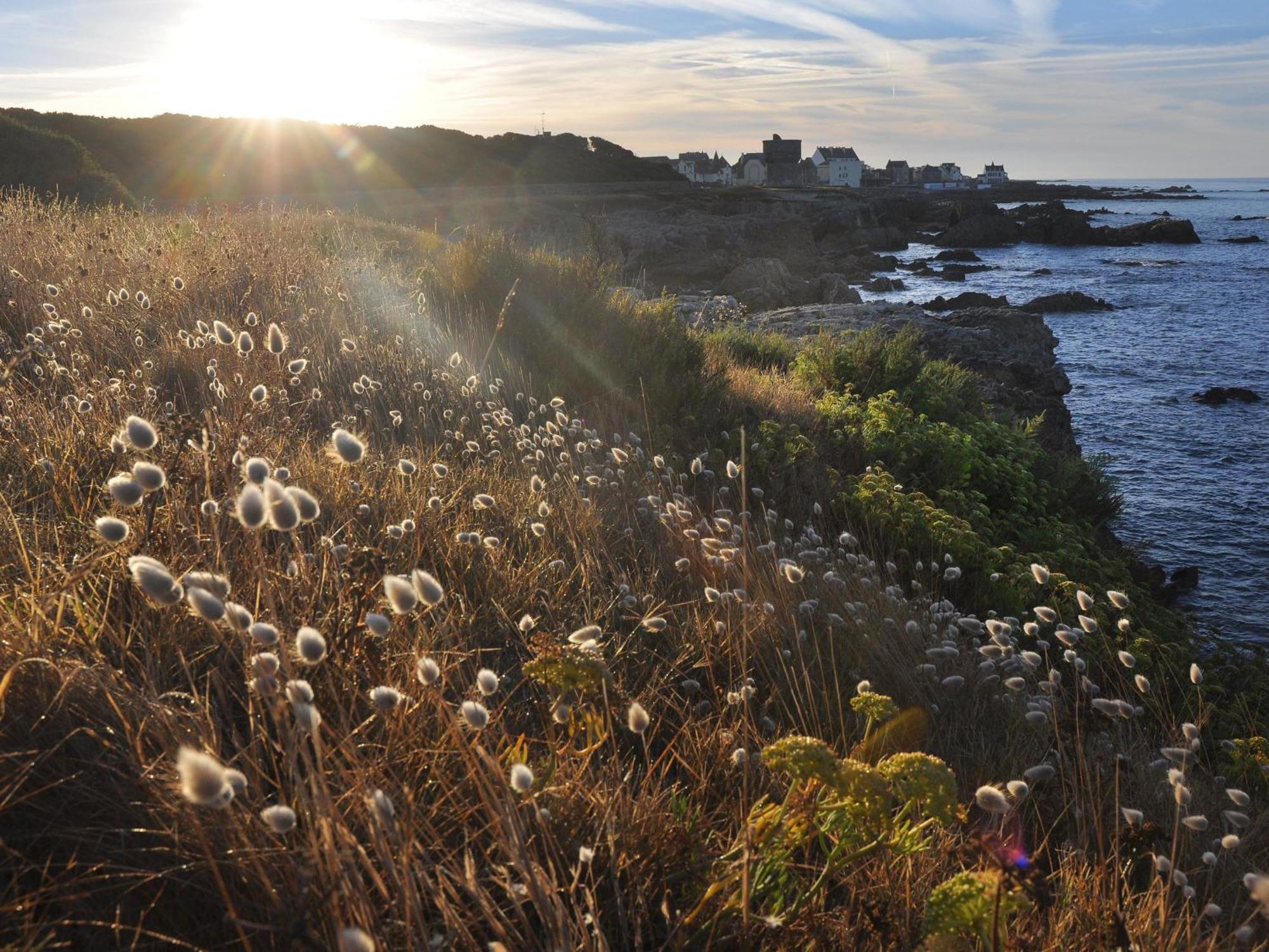 Appartements En Bord De Mer Avec Wifi Et Animal Accepte A Piriac-Sur-Mer - Fr-1-306-943 מראה חיצוני תמונה